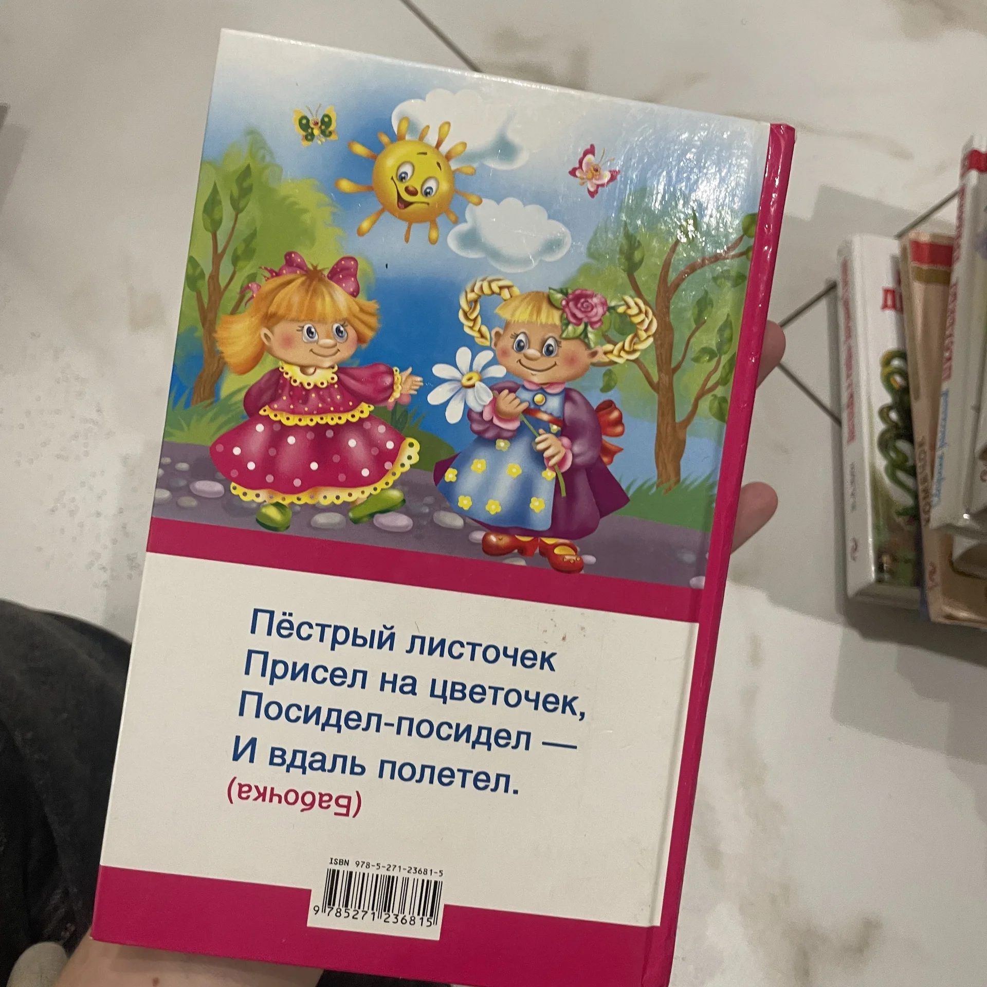 Книга - миниатюра 2