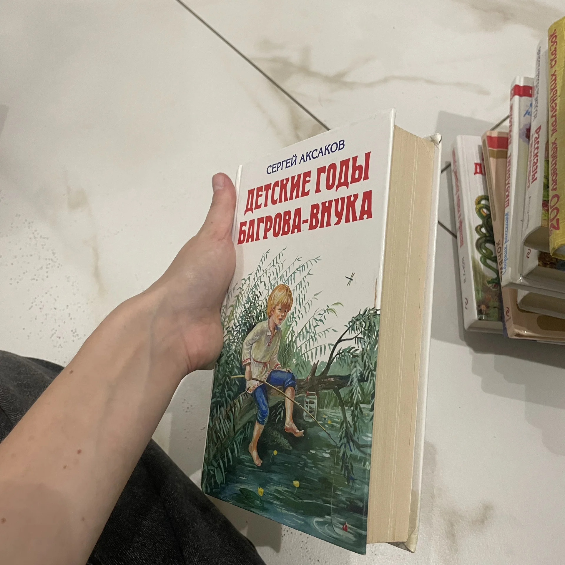 Книга - миниатюра 2