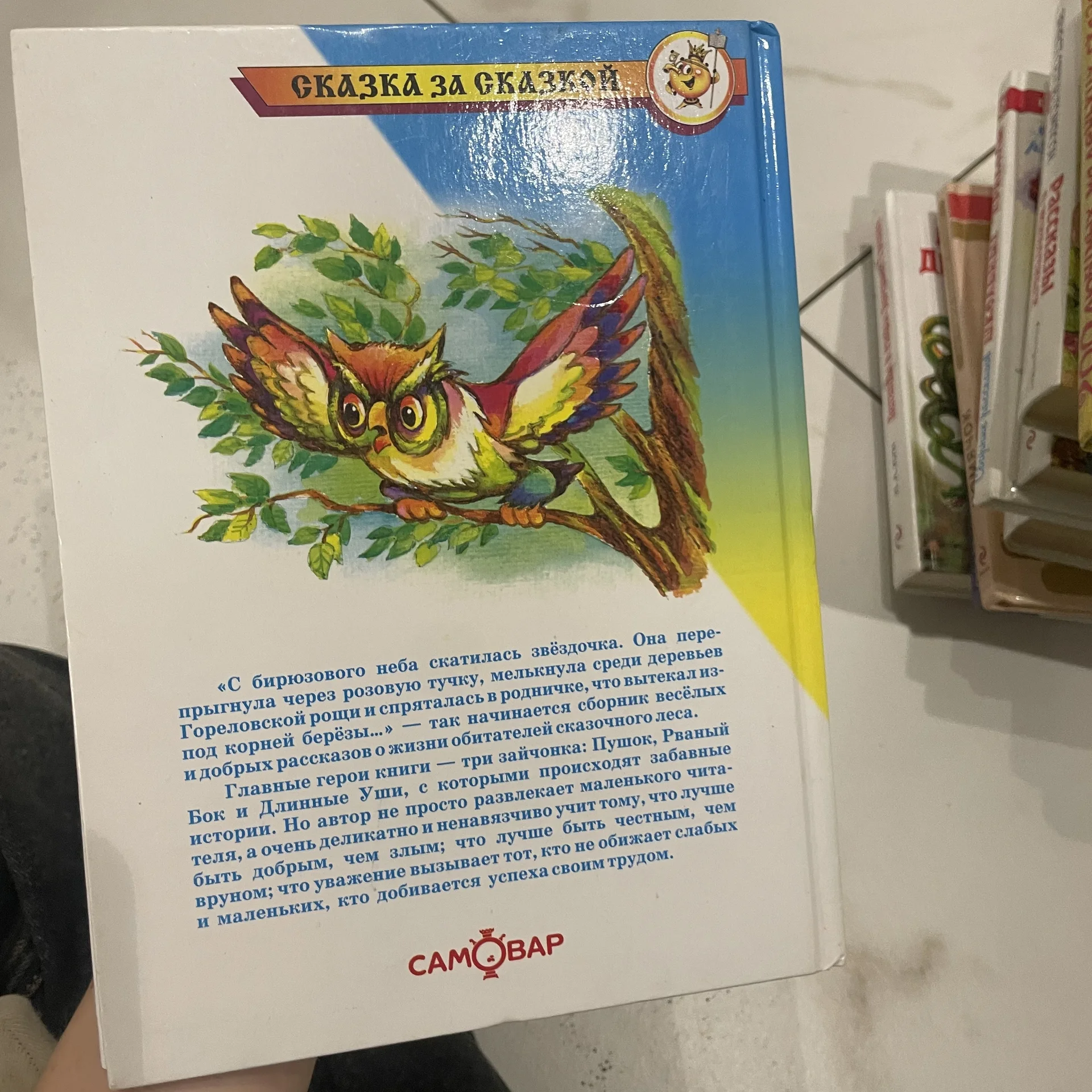 Книга - миниатюра 2