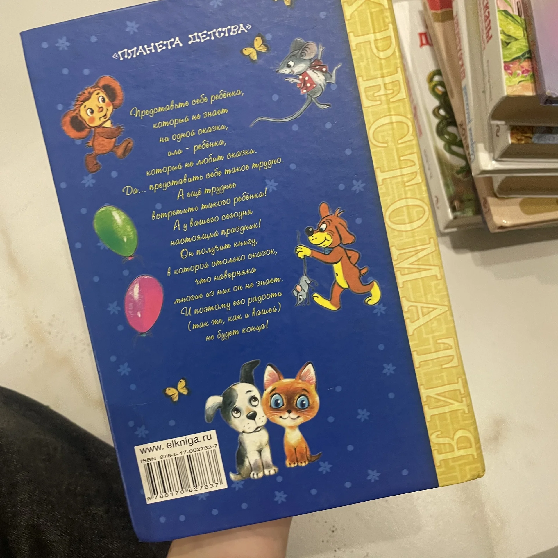 Книга - миниатюра 2