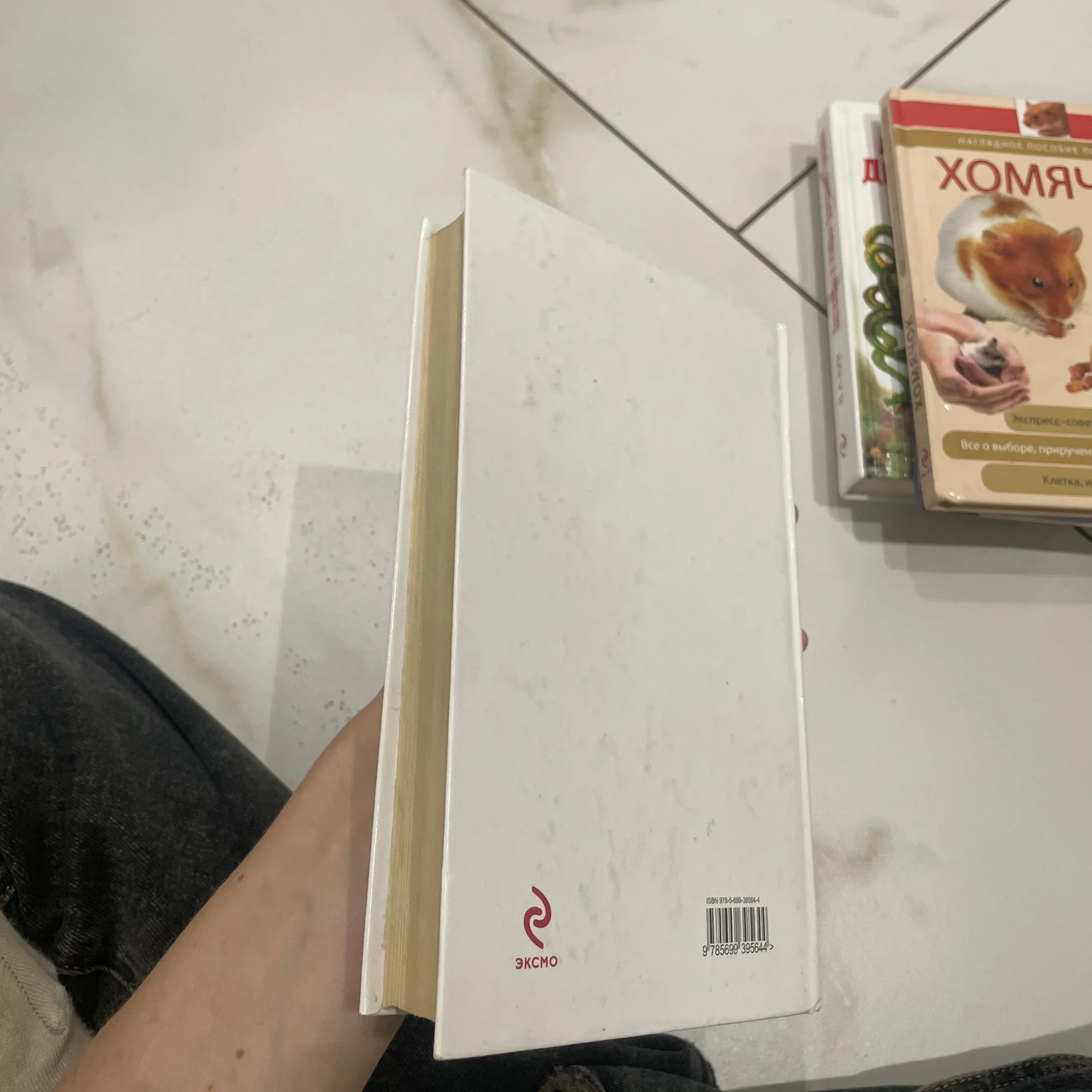 Книга - миниатюра 2