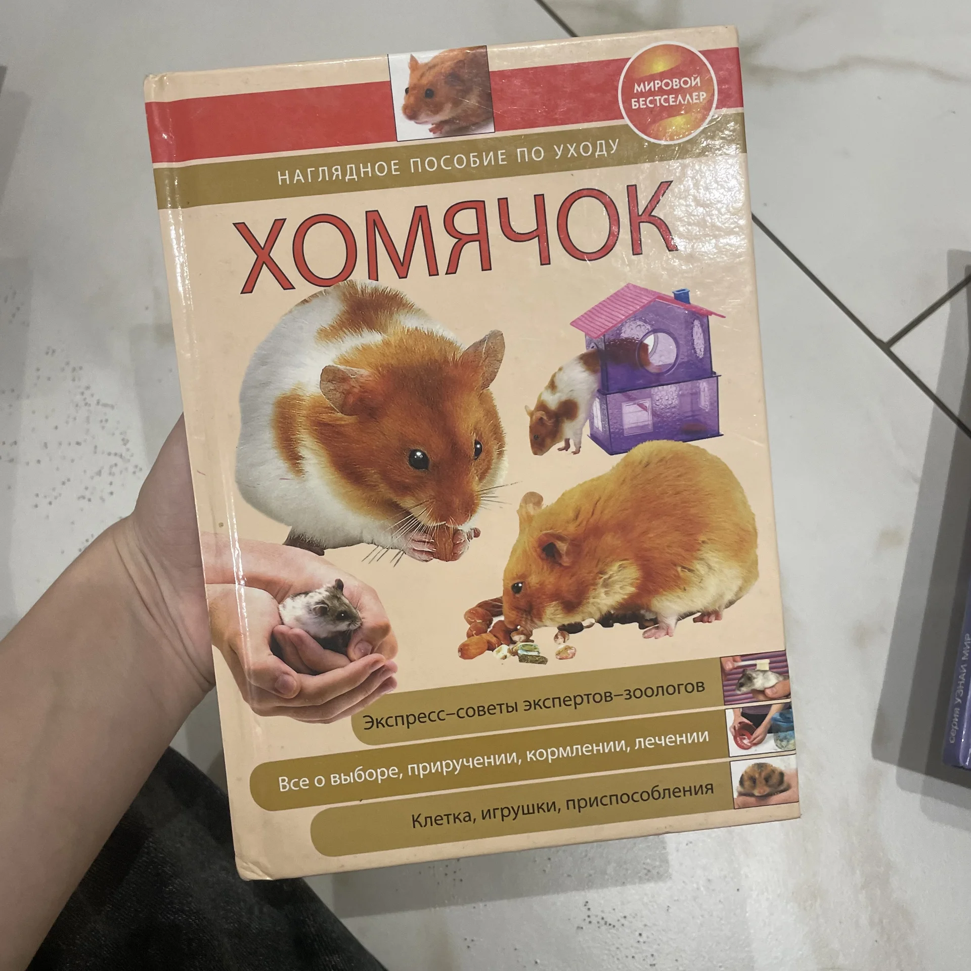 Книга - изображение 1