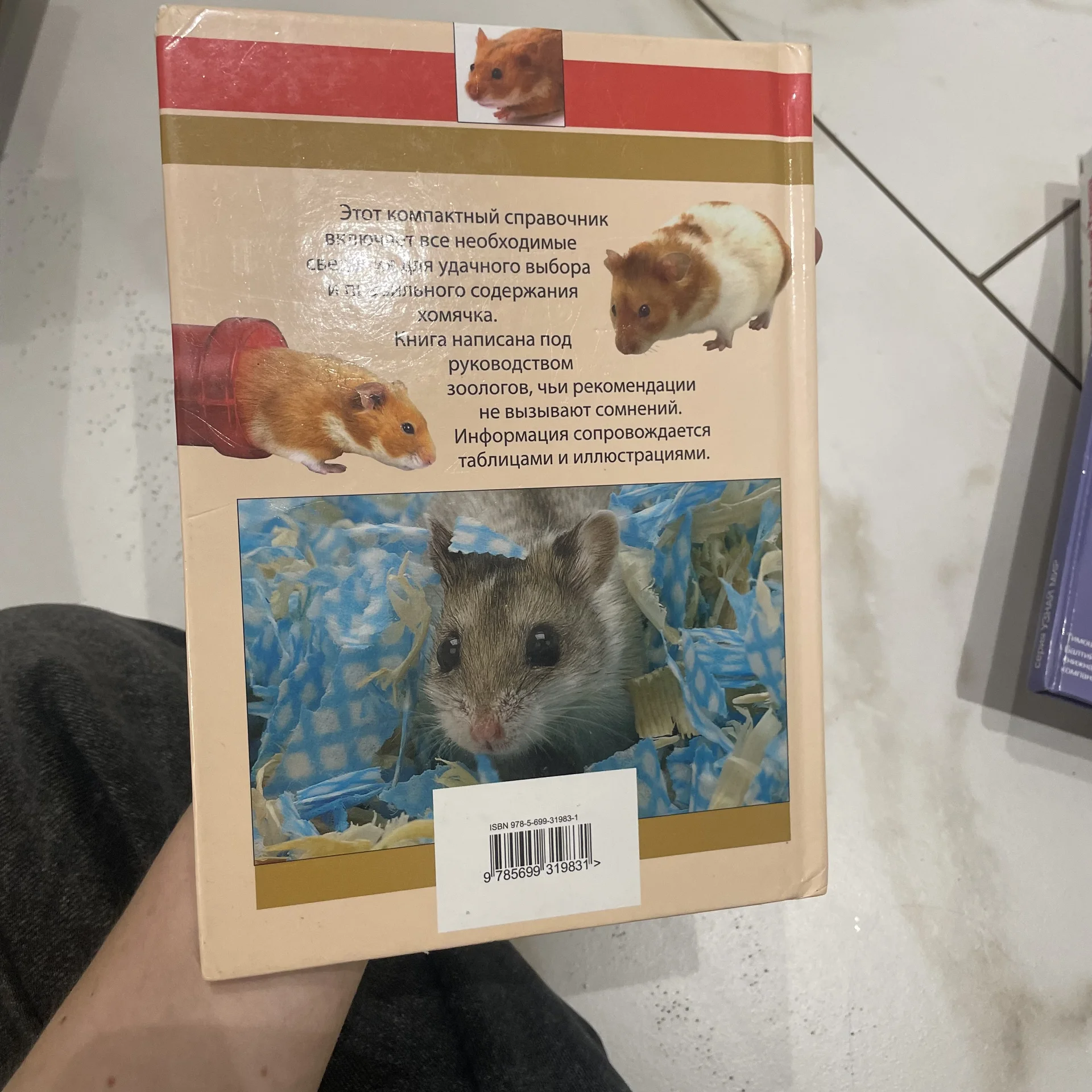Книга - миниатюра 2