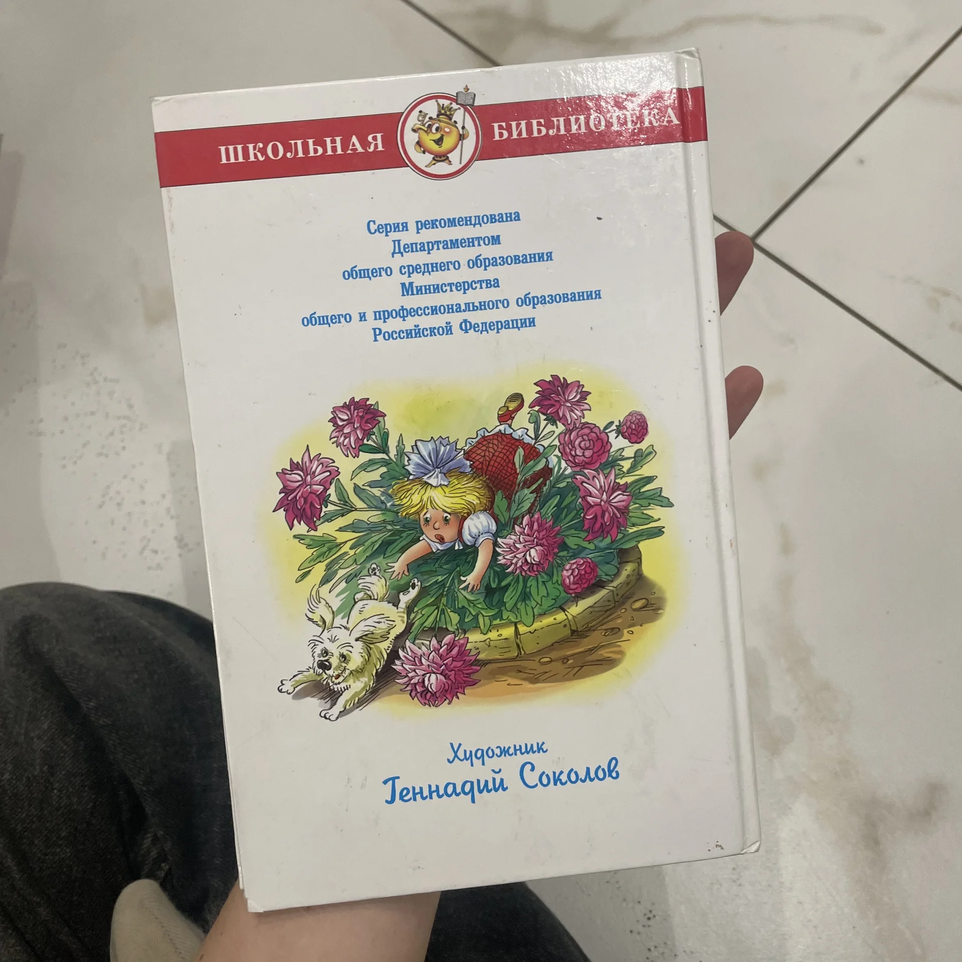 Книга - миниатюра 2