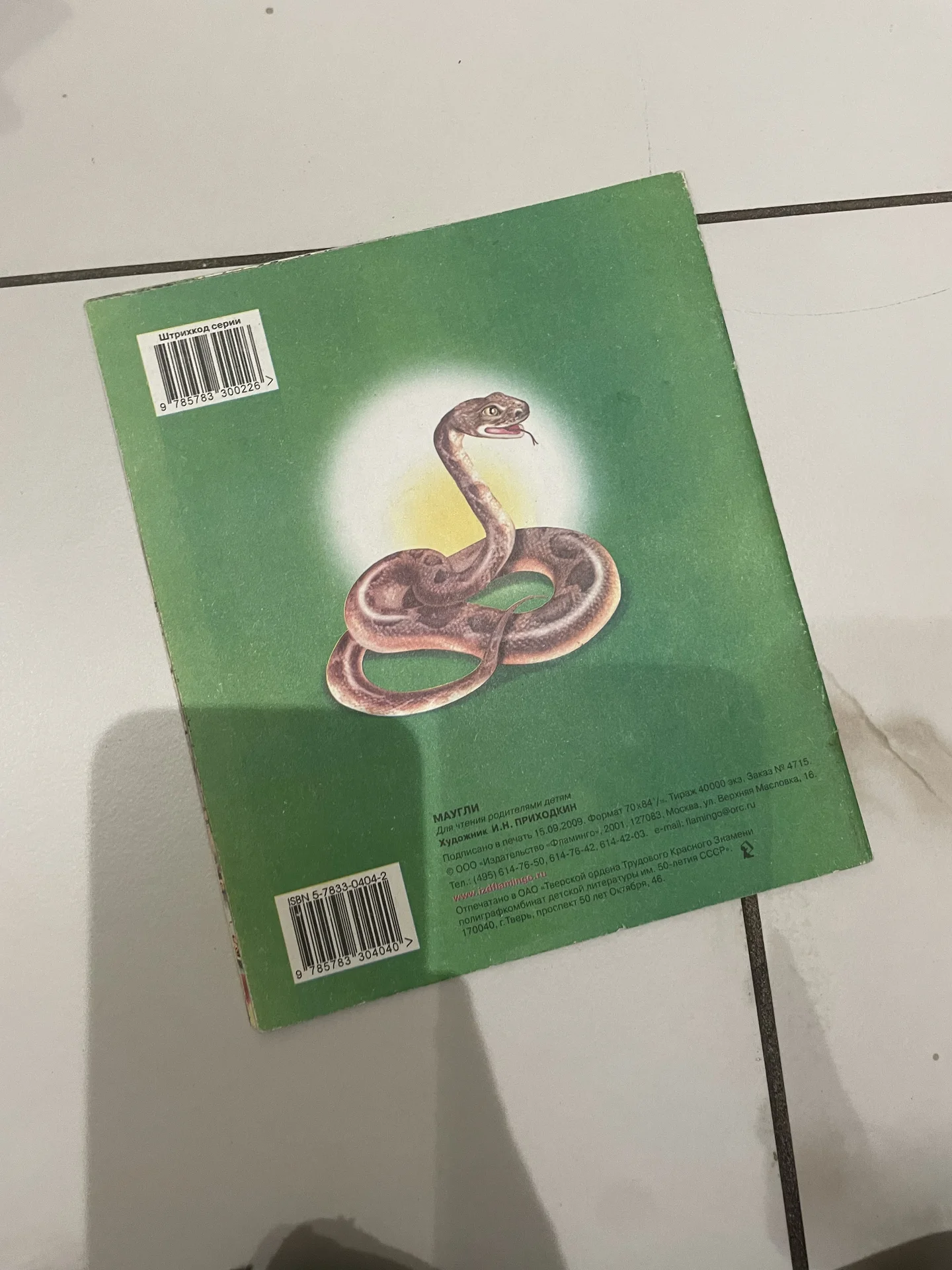 Книга - миниатюра 2