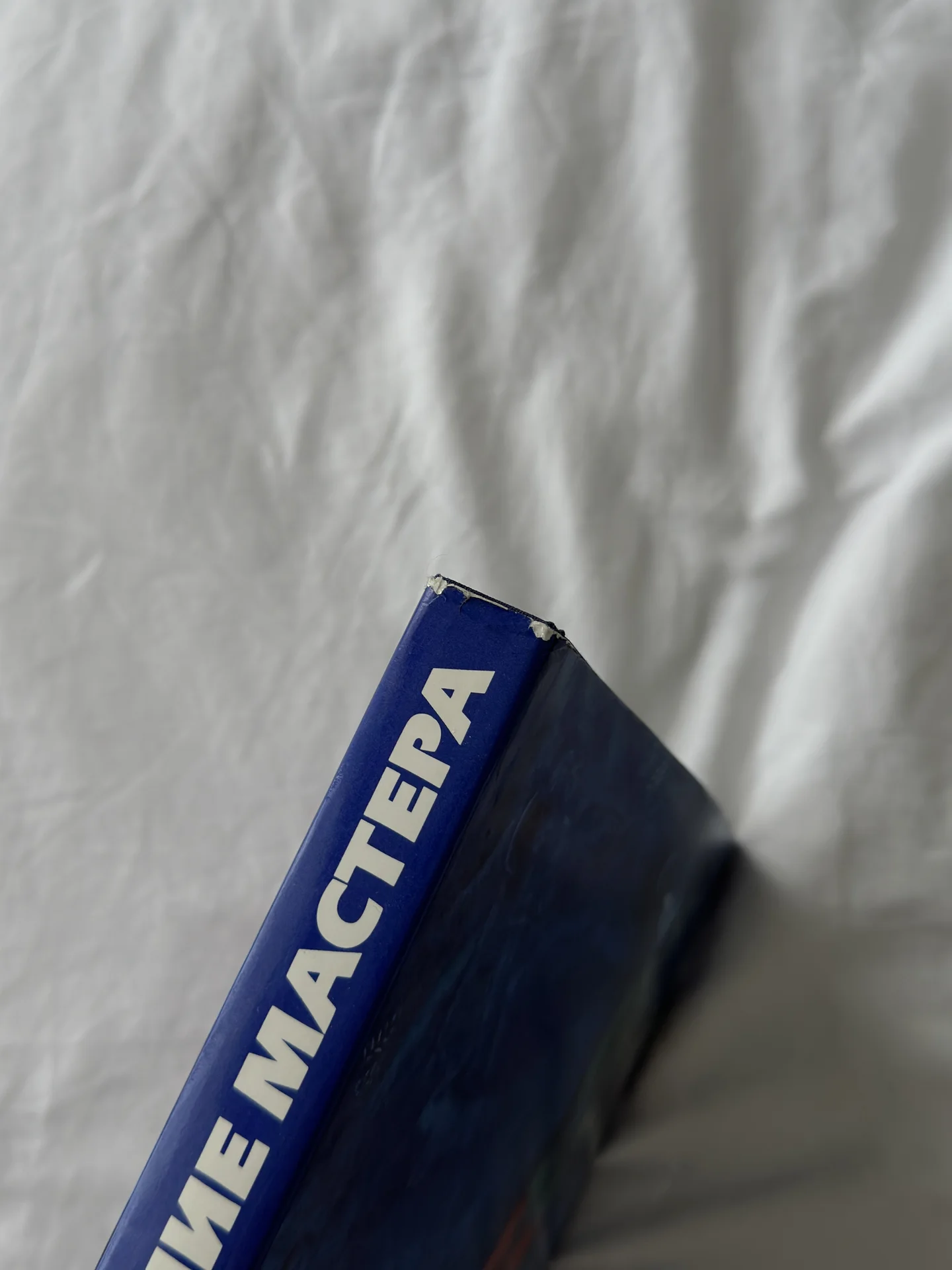 Книга «Шагал. Возвращение мастера» - миниатюра 9