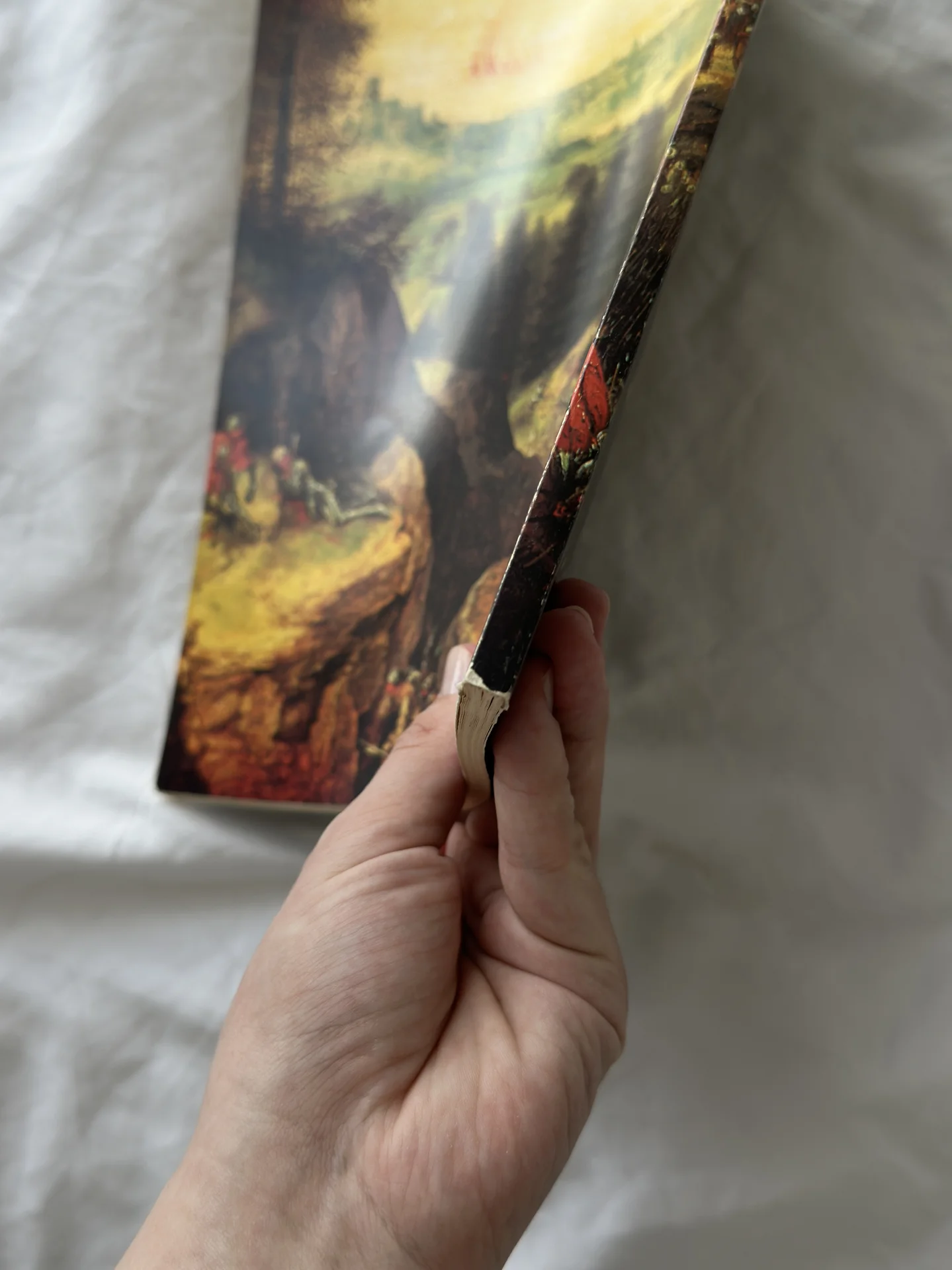 Книга «Брейгель» Грегори Мартин - миниатюра 3