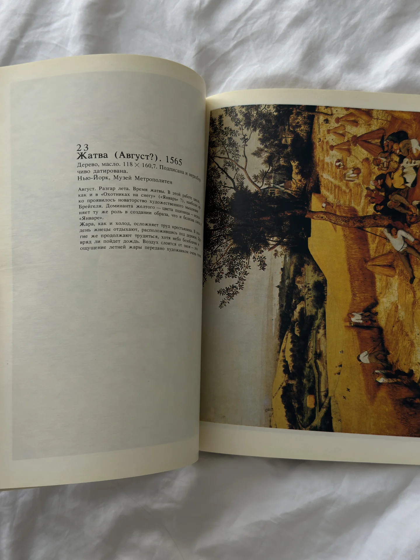 Книга «Брейгель» Грегори Мартин - миниатюра 4