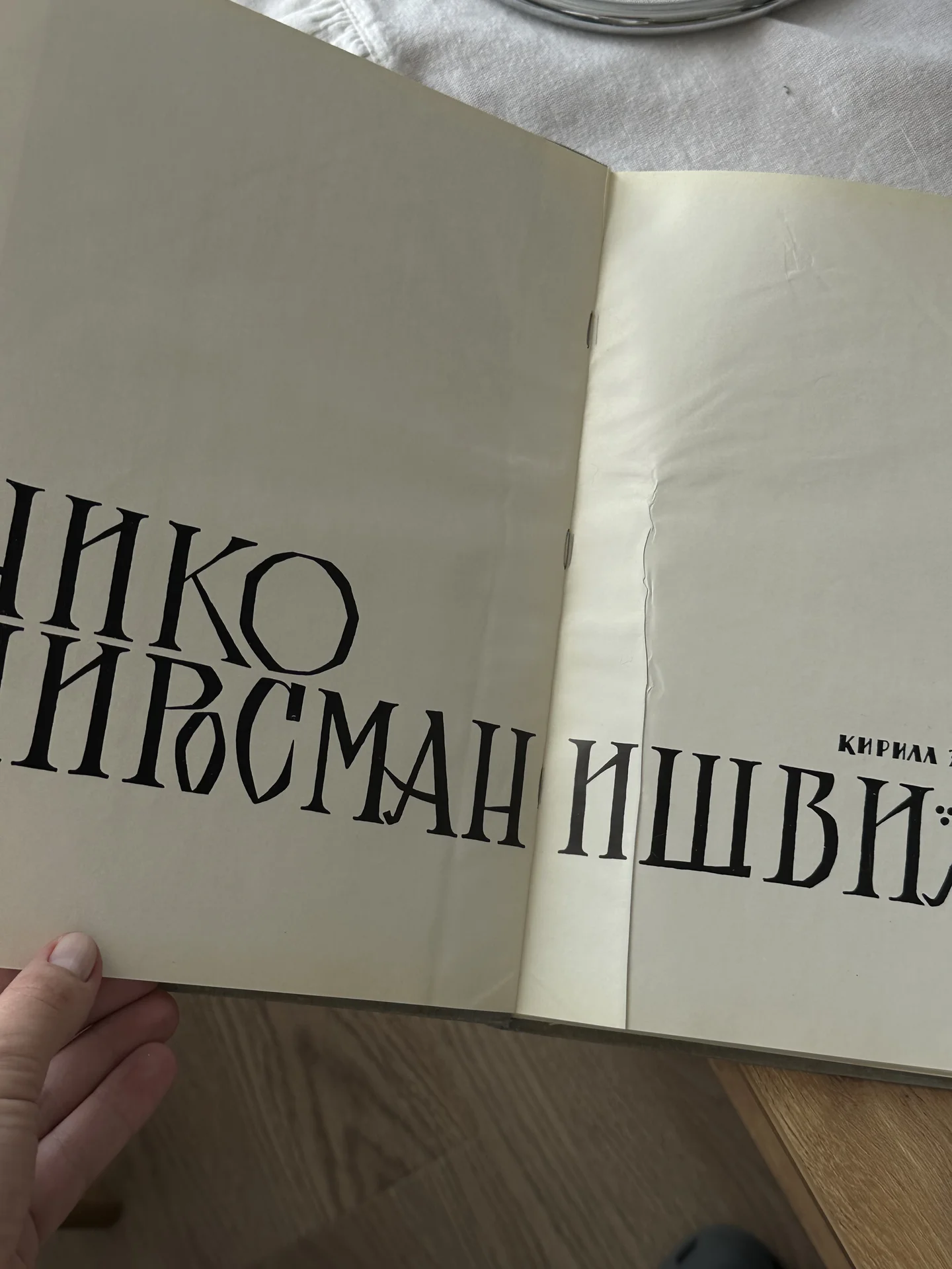 Книга «Нико Пиросманишвили» - миниатюра 5