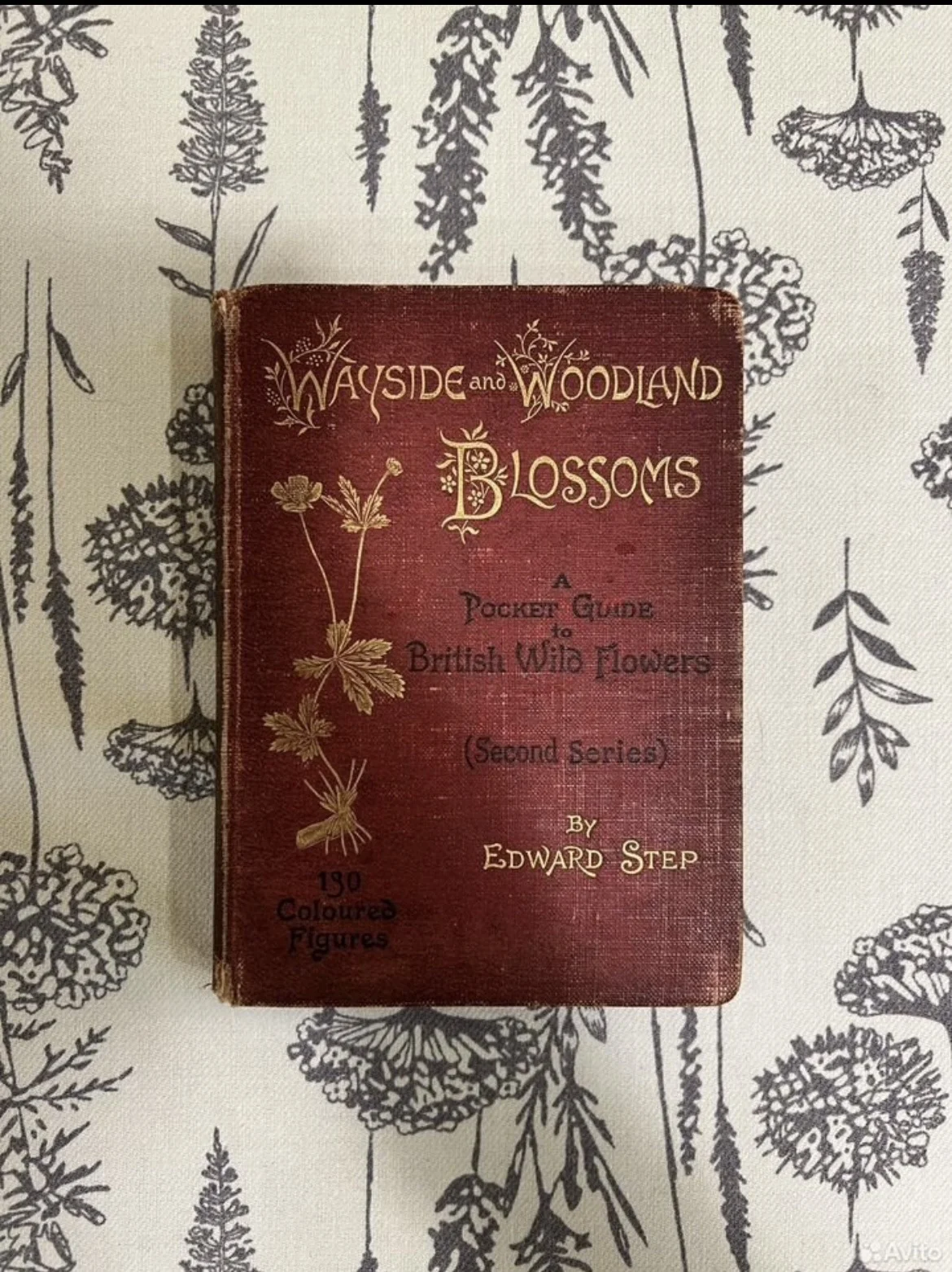Wayside and Woodland Blossoms - изображение 1