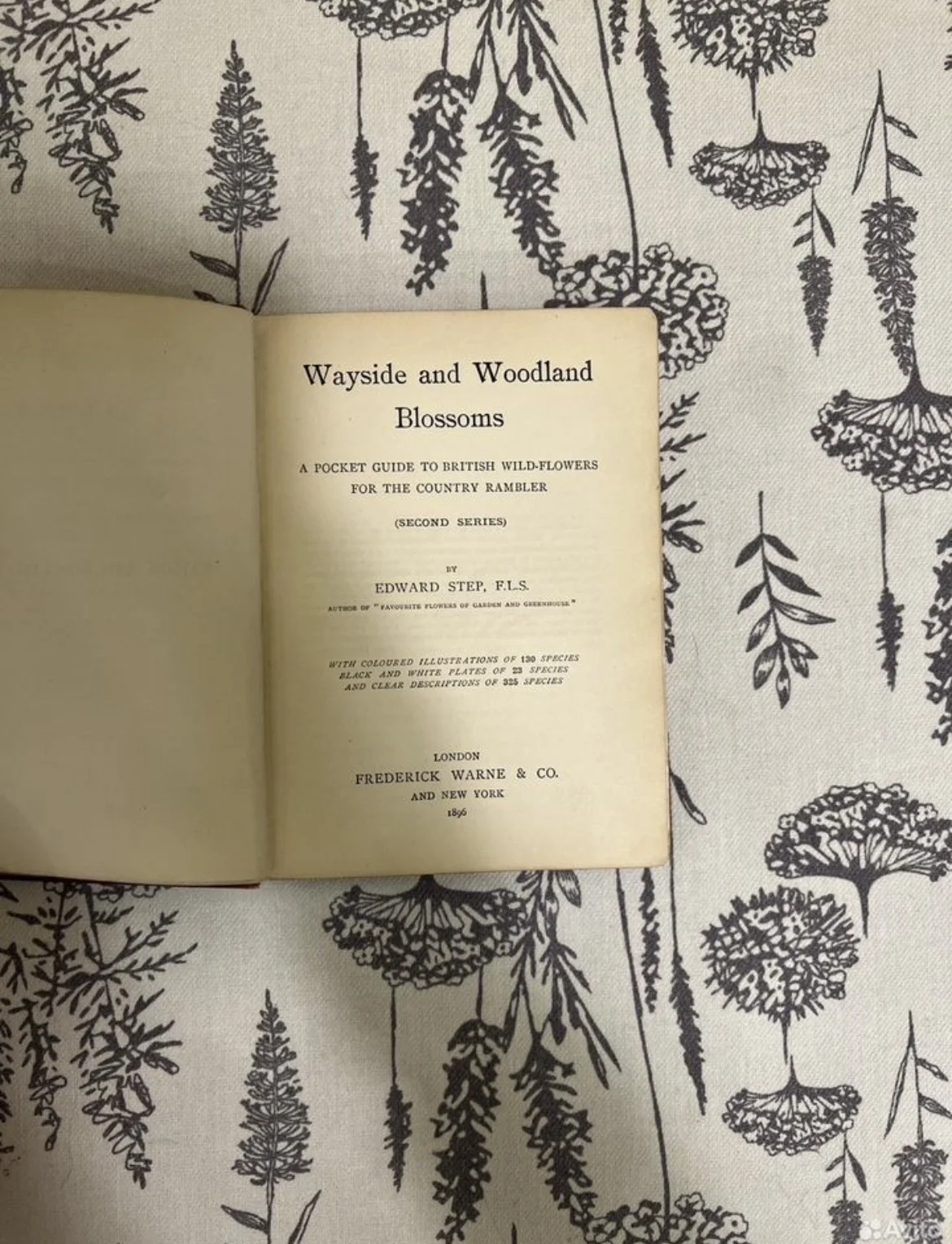 Wayside and Woodland Blossoms - миниатюра 2