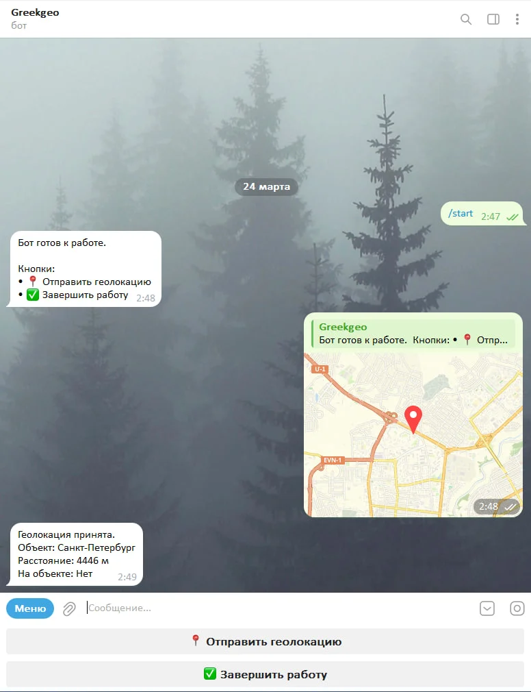 Telegram-бот для контроля сотрудников по геолокации - миниатюра 2