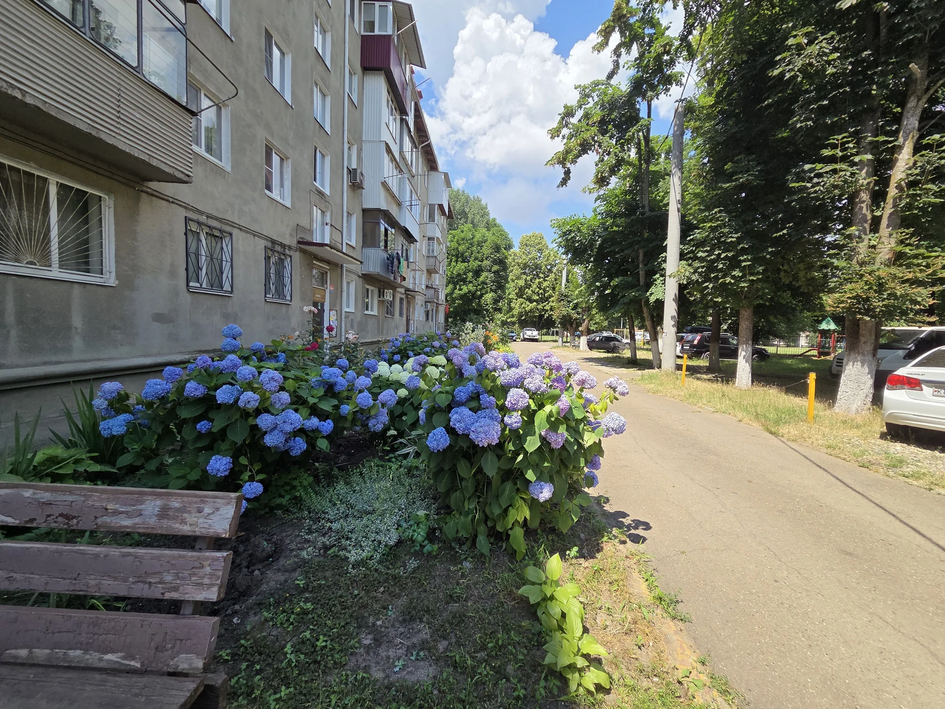 Квартира в Краснодаре - изображение 1
