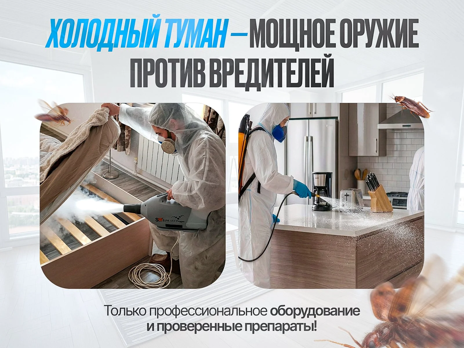 Дезинфекция Уничтожение тараканов, клопов, клещей - миниатюра 2