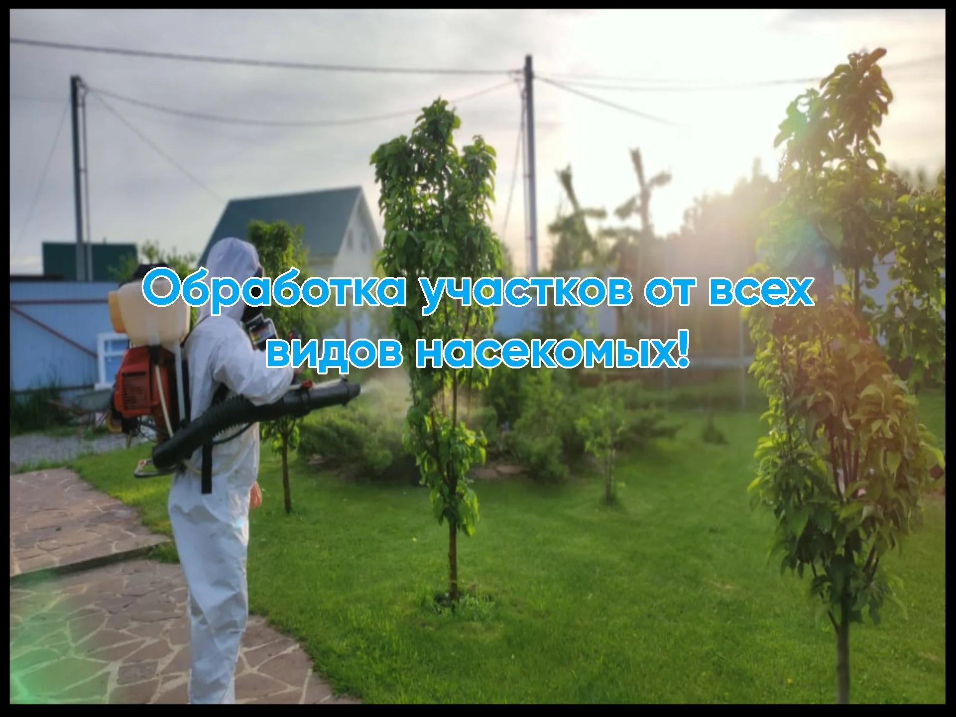 Дезинфекция Уничтожение тараканов, клопов, клещей - миниатюра 3