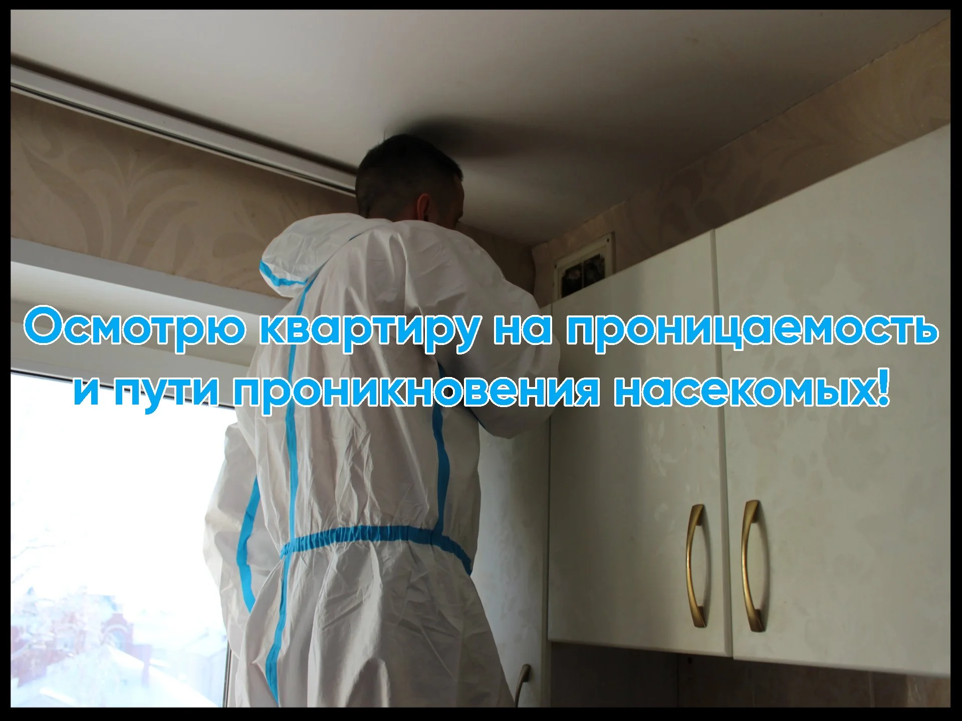 Дезинфекция Уничтожение тараканов, клопов, клещей - миниатюра 6