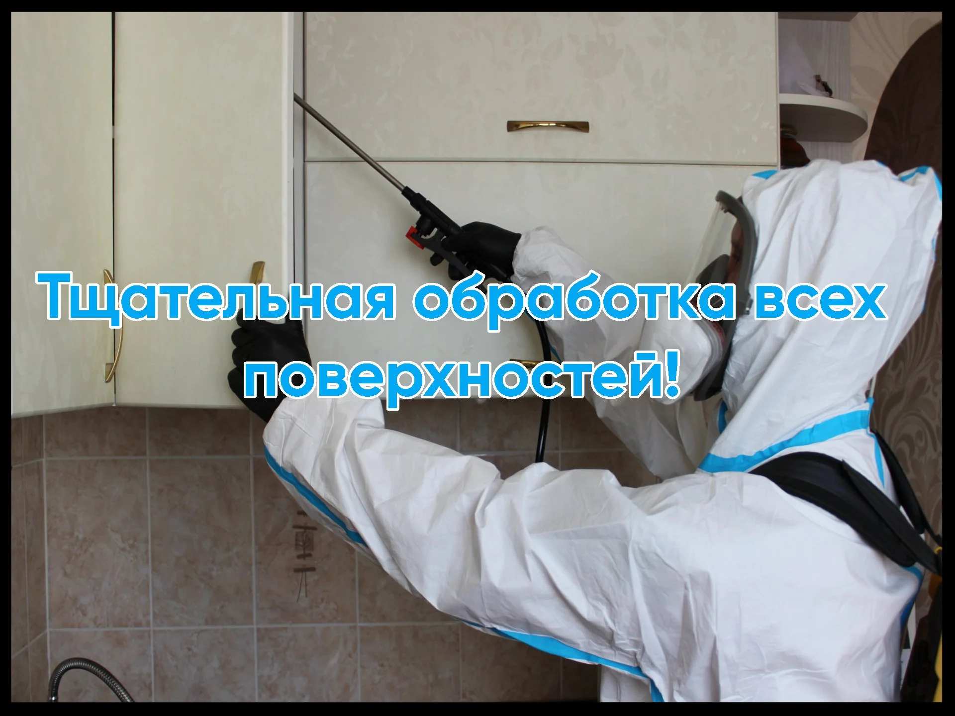 Дезинфекция Уничтожение тараканов, клопов, клещей - миниатюра 8