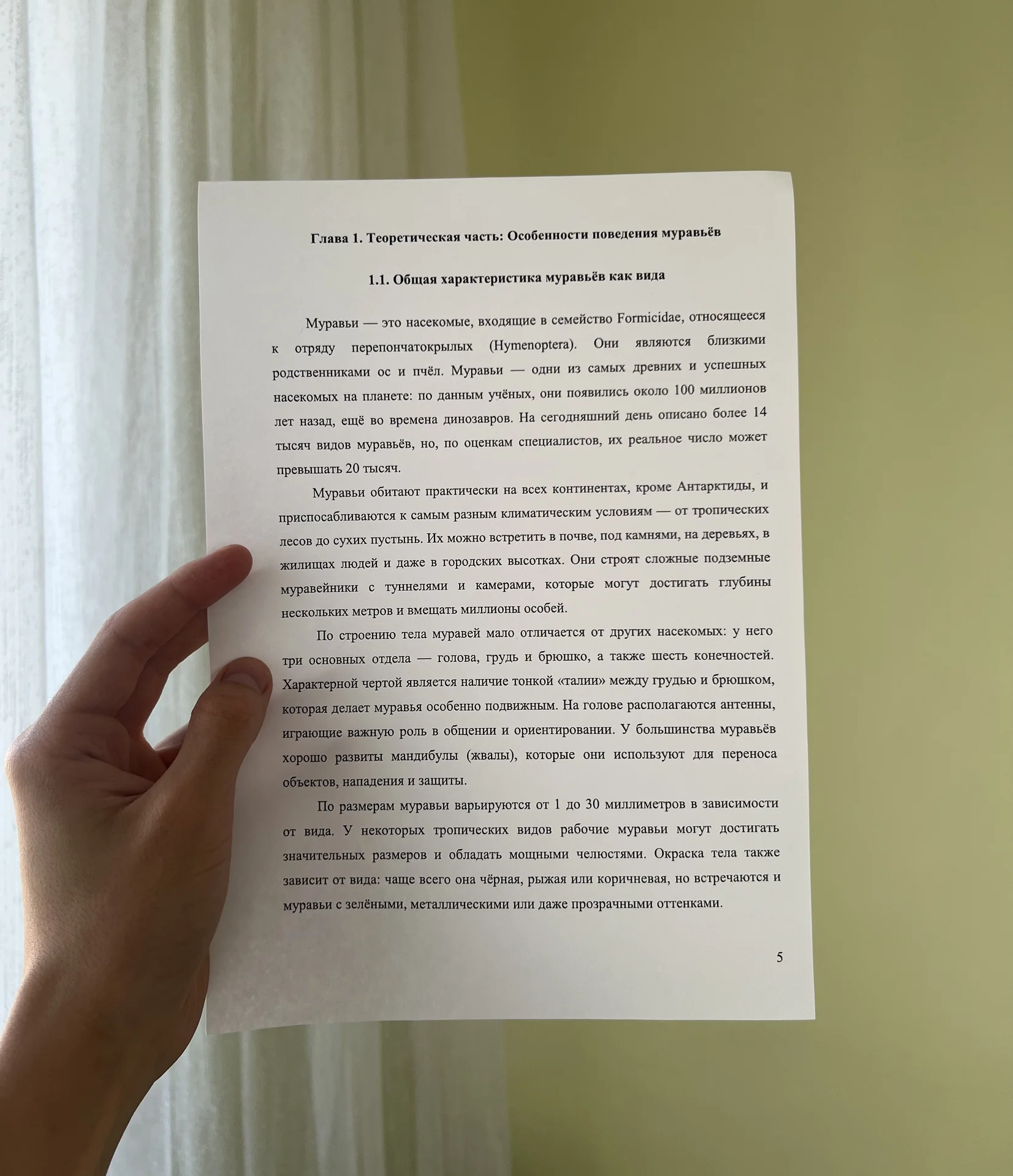Дипломные работы, ВКР, курсовые работы - миниатюра 3