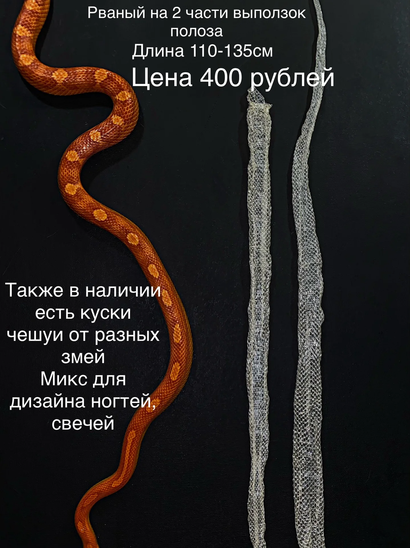 Змеиный выползок, чешуя, шкура змеи - миниатюра 9
