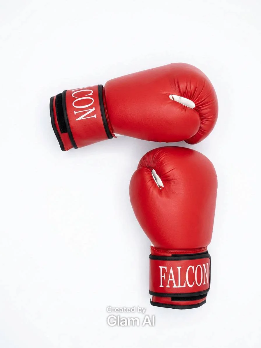 Перчатки боксерские FALKON 10-OZ - изображение 1