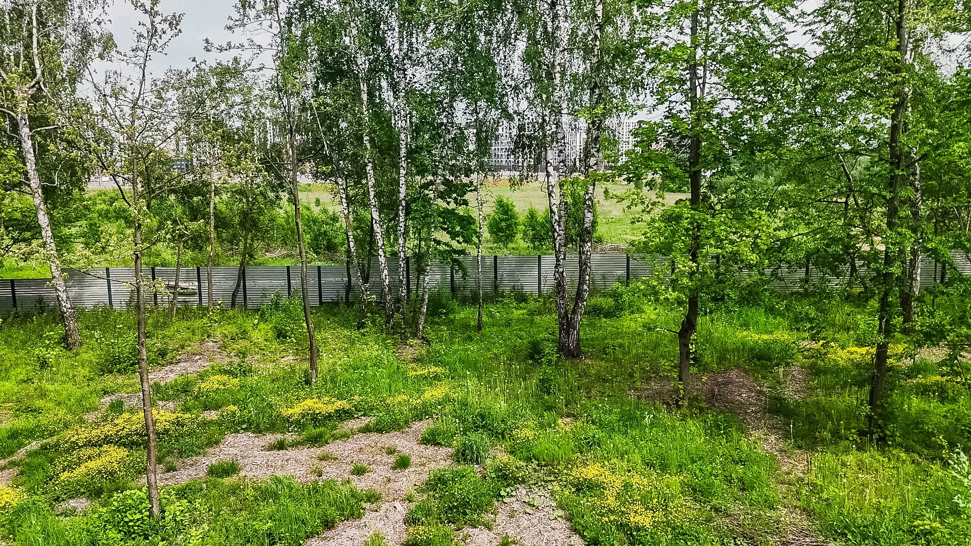 3 гектара 7 км от МКАД - миниатюра 5