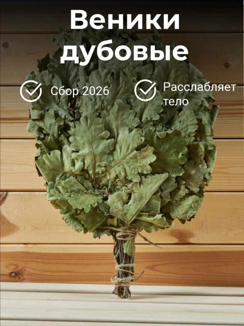Дубовые веники для бани - изображение 1
