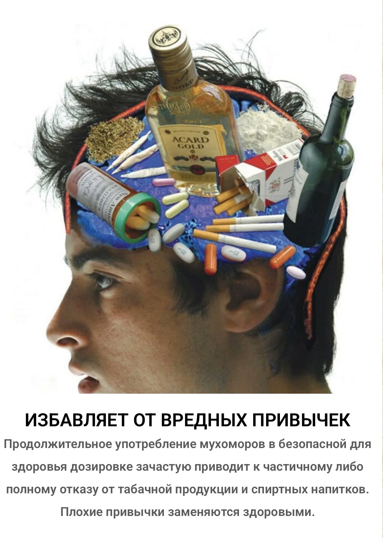 Энтеоген - миниатюра 5