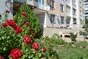 Уютная квартира в Евпатории - миниатюра 23