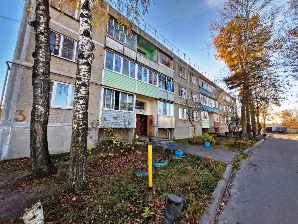 3-я квартира в деревне Большое Гридино, дом 3М - миниатюра 19