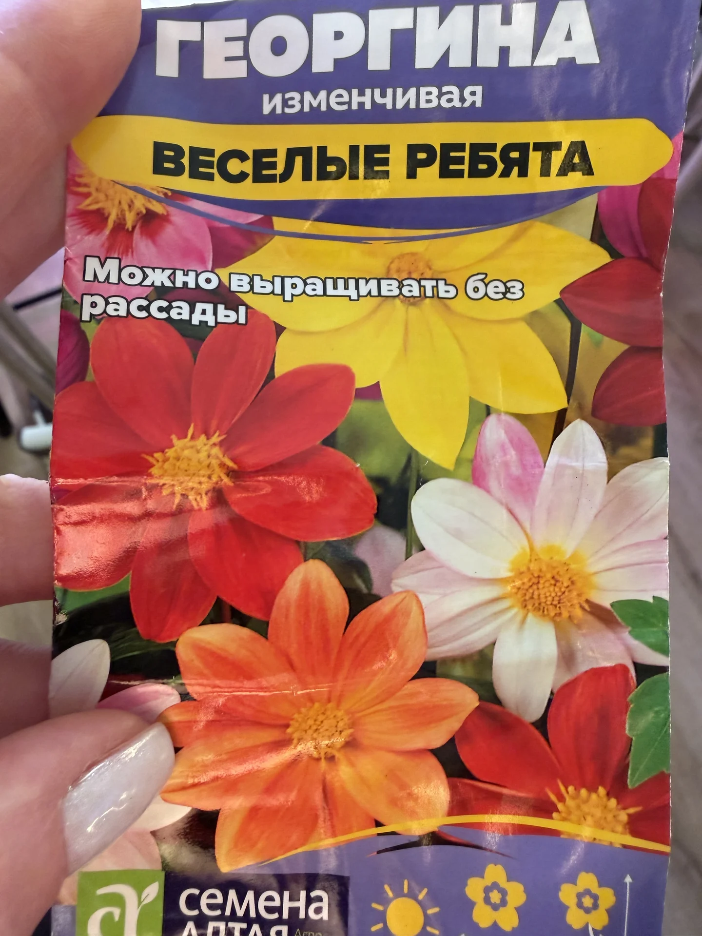 Рассада однолетних цветов - миниатюра 3