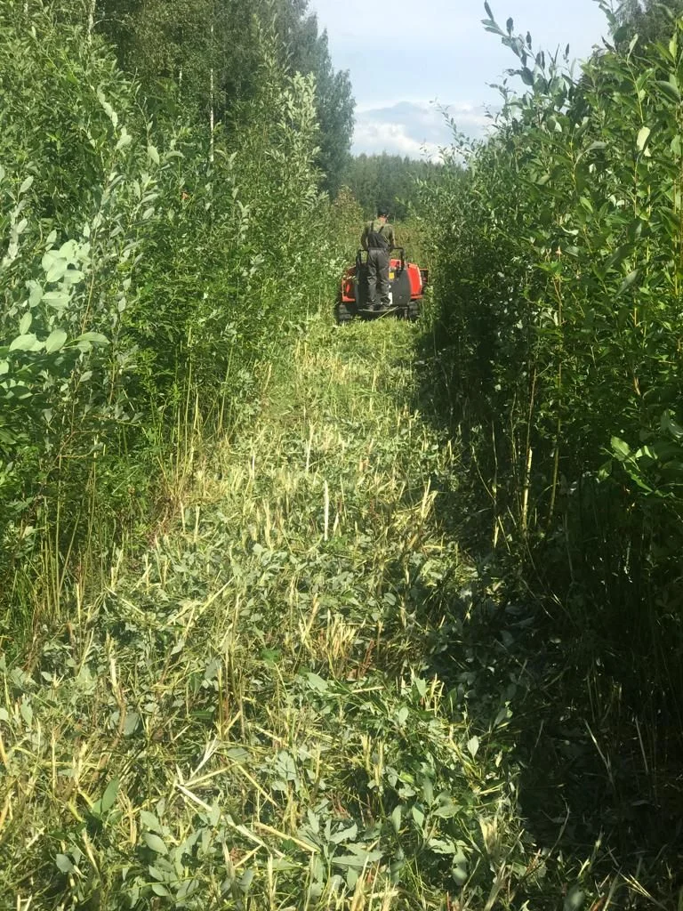 Услуги на мини погрузчике - миниатюра 10