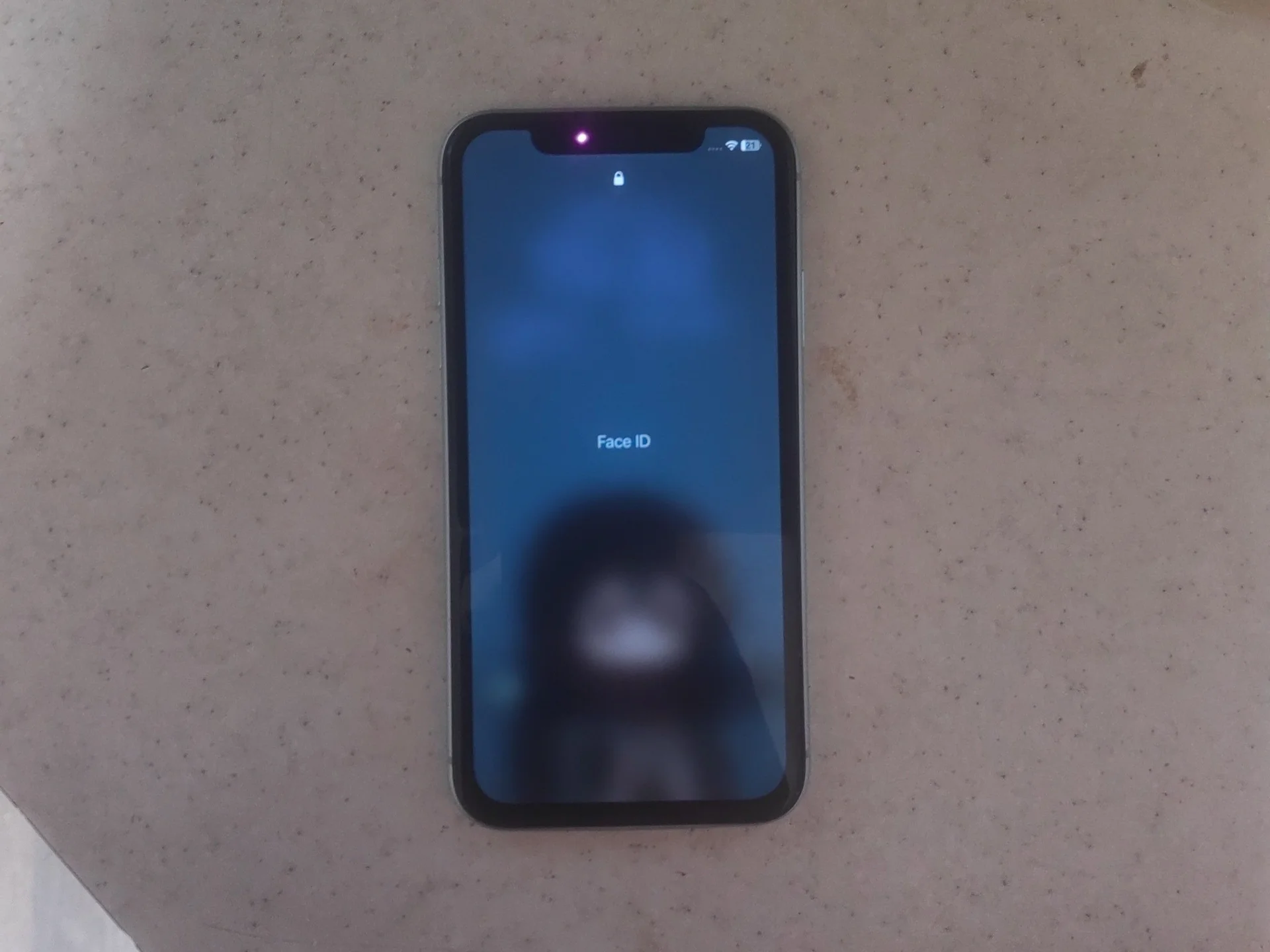 IPhone 11 - изображение 1