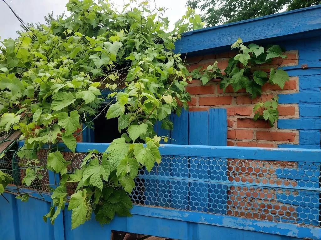 Дом, земля,продажа - миниатюра 8