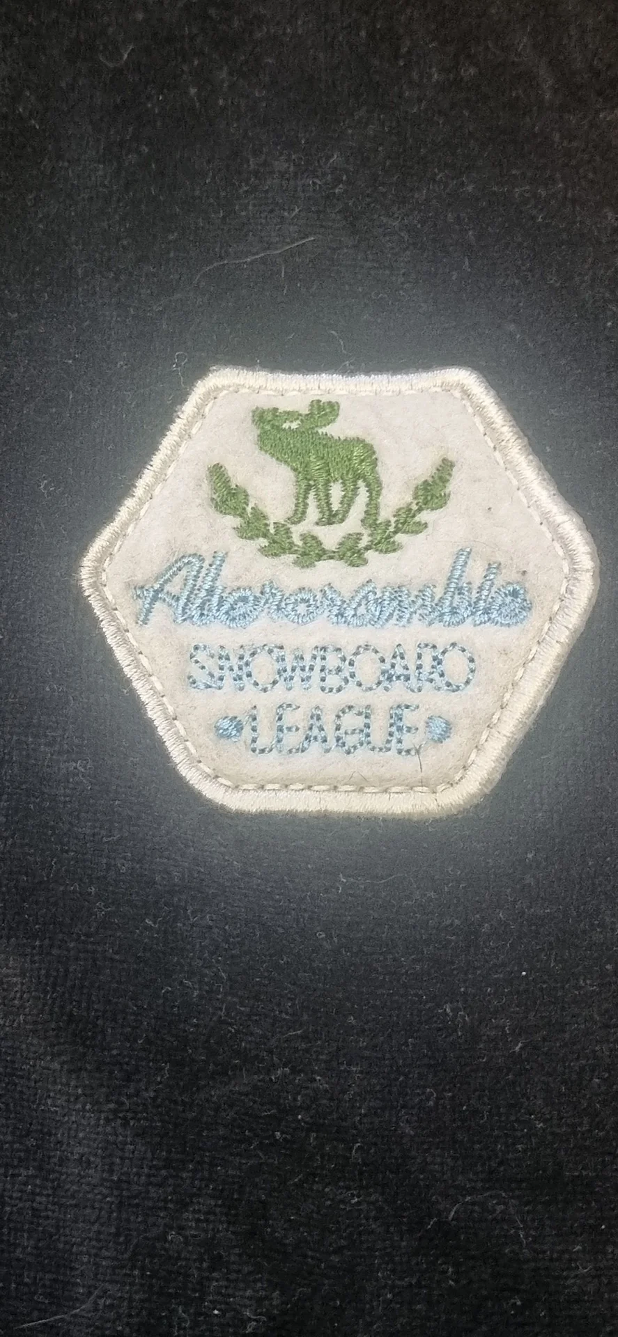 Зип-кофта, велюр, Abercrombie fitch - миниатюра 5