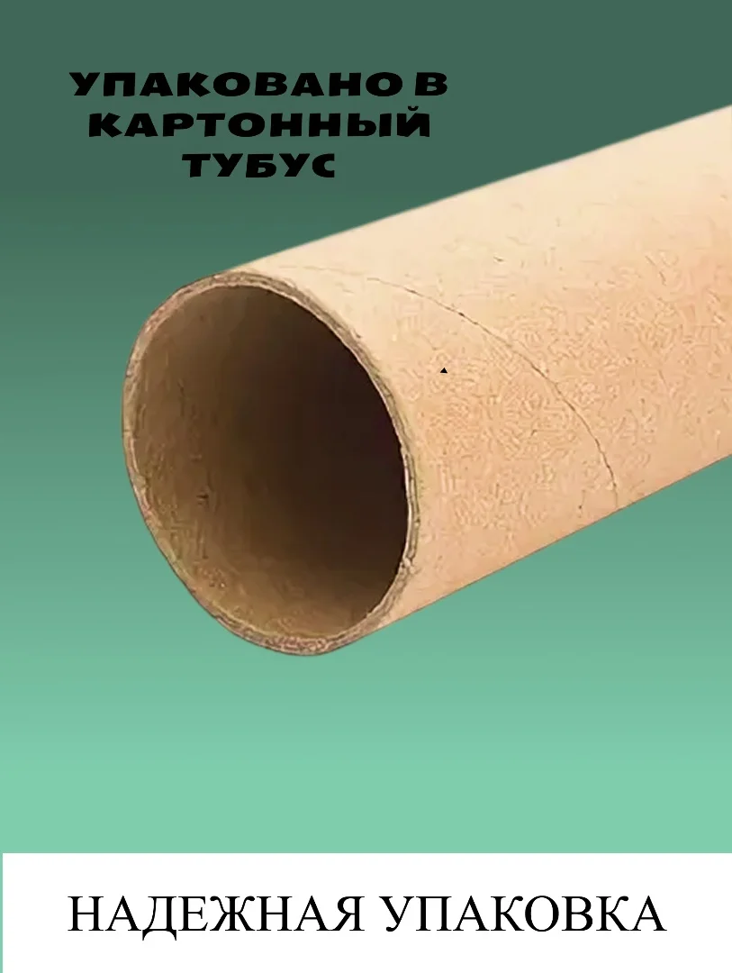 Постер для интерьера А3 Сквидвард - миниатюра 2