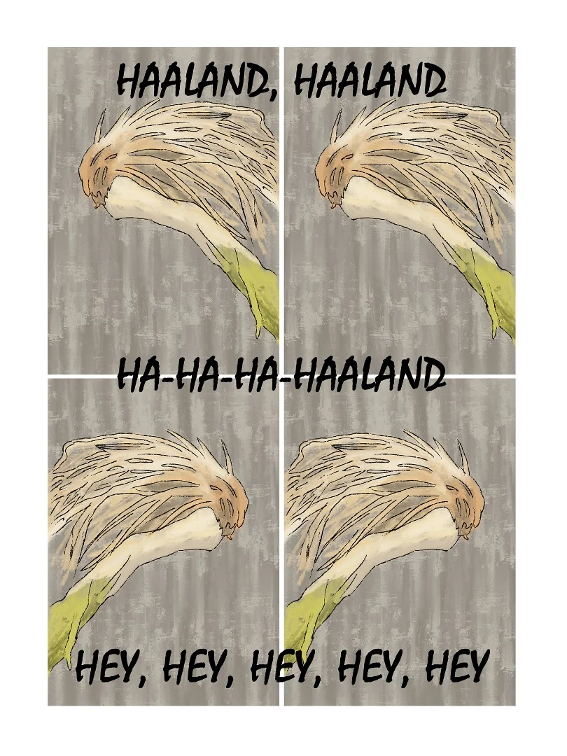 Постер для интерьера А3 Эрлинг Холланд - изображение 1