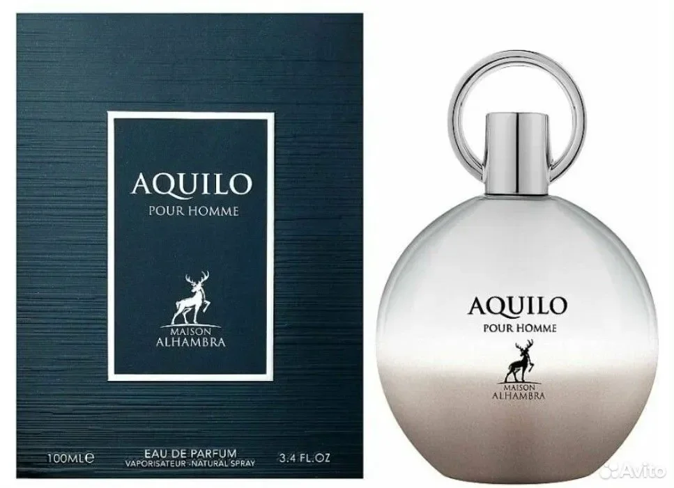 Парфюмерная вода Alhambra Aquilo Pour Homme 100 мл - изображение 1