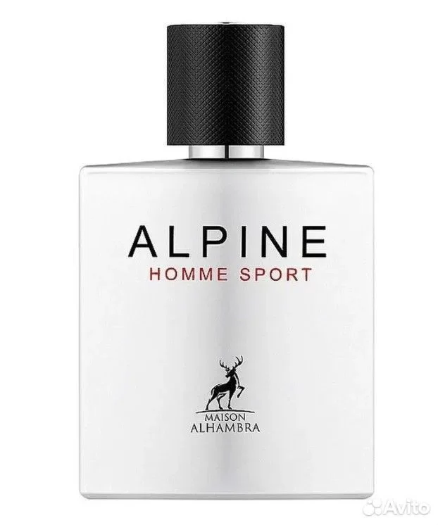 Парфюмерная вода Alhambra Alpine Homme Sport 100 м - изображение 1