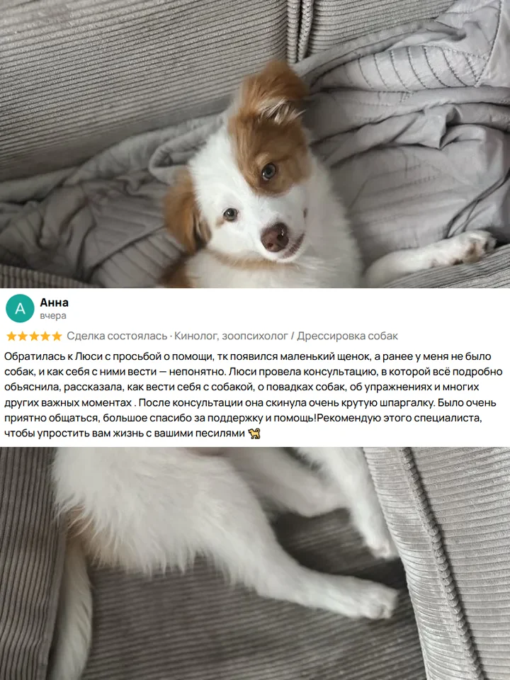 Кинолог, зоопсихолог / Дрессировка собак - миниатюра 4