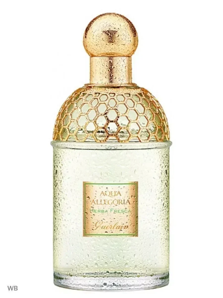 Духи Aqua Allegoria Herba Fresca 75мл - миниатюра 3