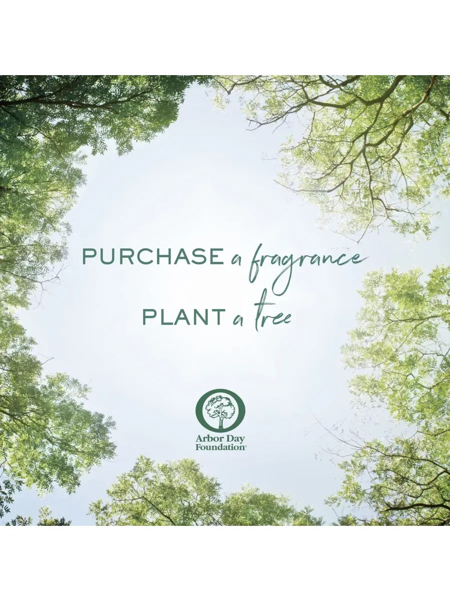Ralph Lauren Polo Earth Antilles Vetiver унисекс - миниатюра 4