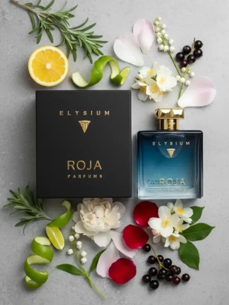 Мужские духи Рожа parfums Elysium Pour Homme 100 ml - изображение 1