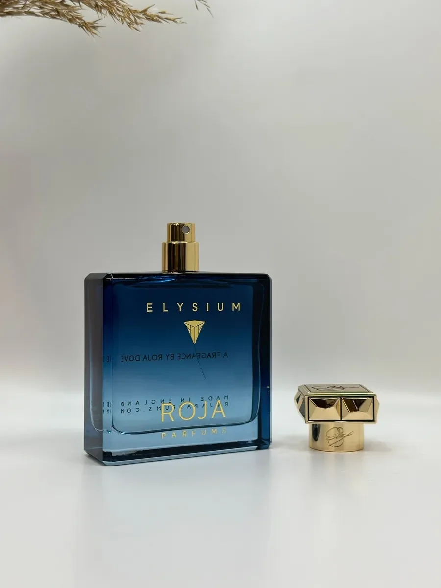 Мужские духи Рожа parfums Elysium Pour Homme 100 ml - миниатюра 3