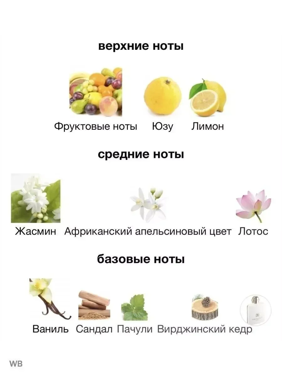 Donna EDP труссарди 100мл - миниатюра 2
