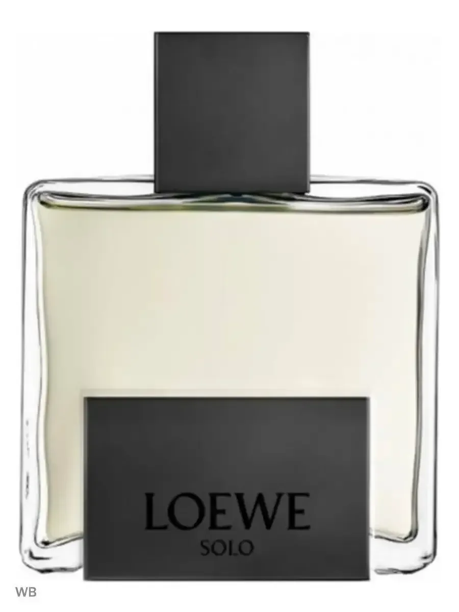 Loewe Parfumes Loewe Solo Mercurio EDP 100мл - миниатюра 4