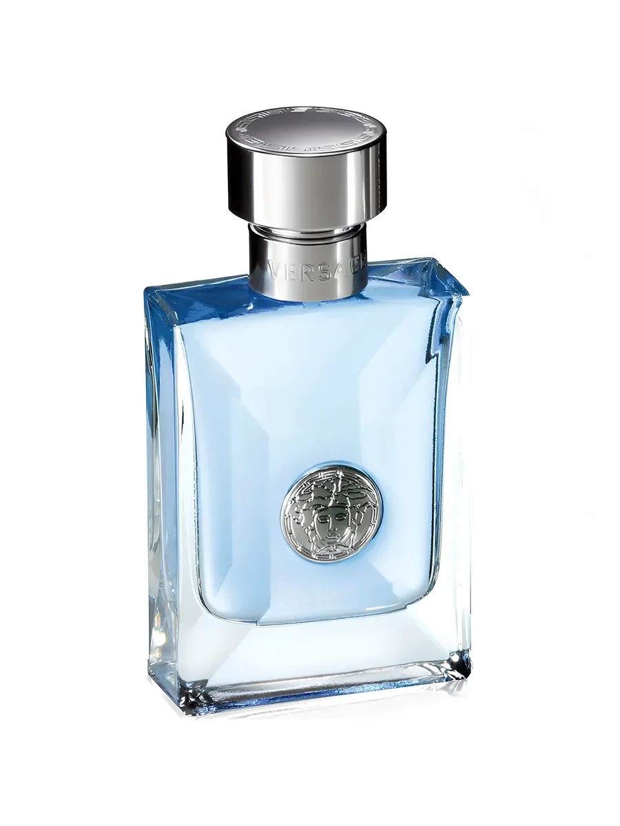 духи мужские Versace Pour Homme 100мл стойкие - миниатюра 5