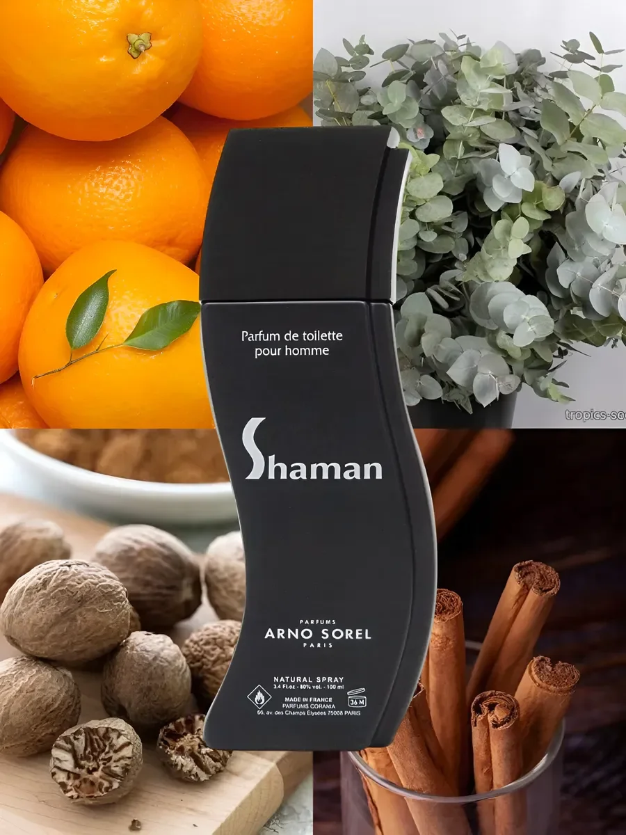 Духи мужские Arno Sorel Shaman 100 мл - миниатюра 2