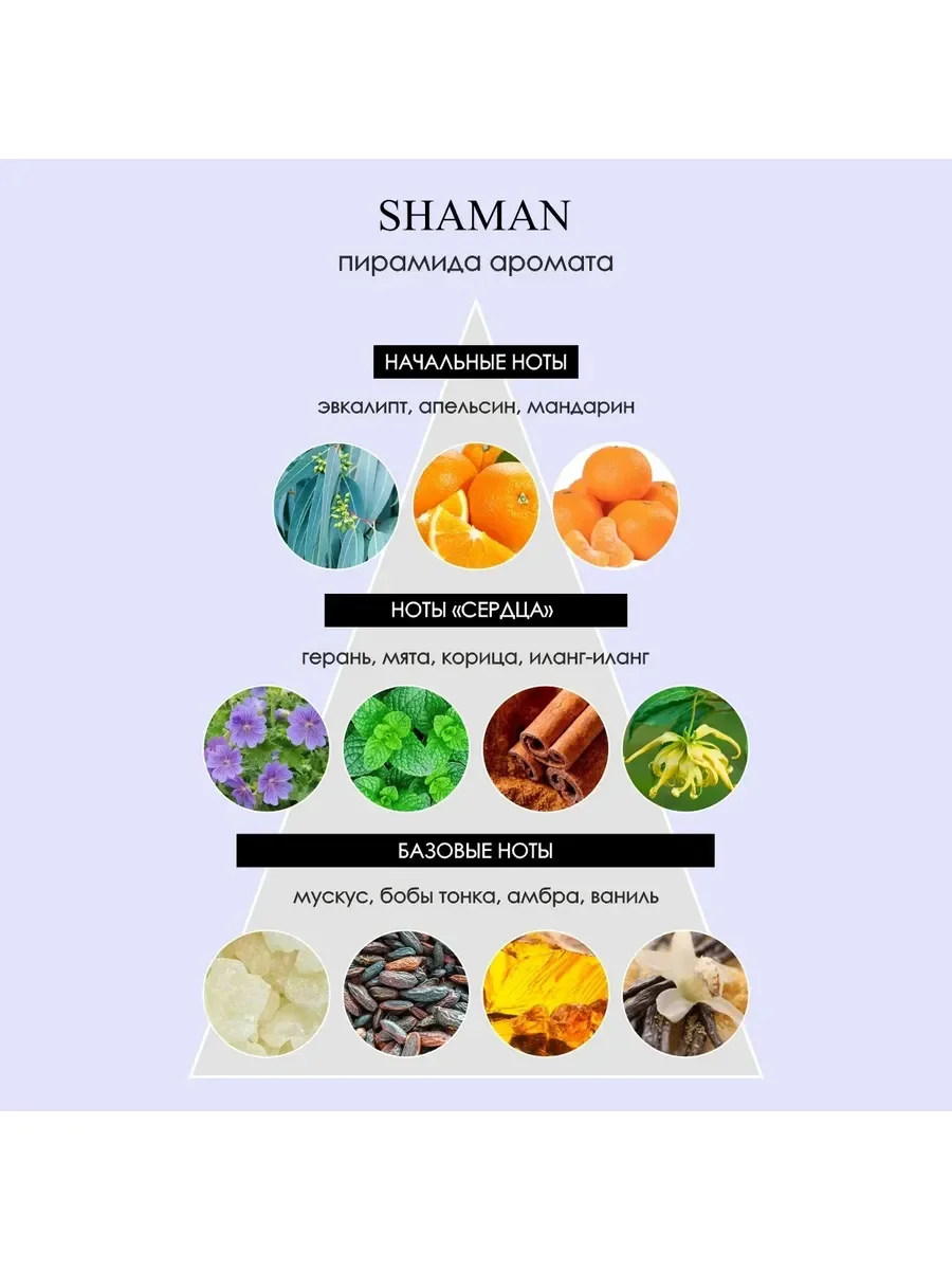 Духи мужские Arno Sorel Shaman 100 мл - миниатюра 3