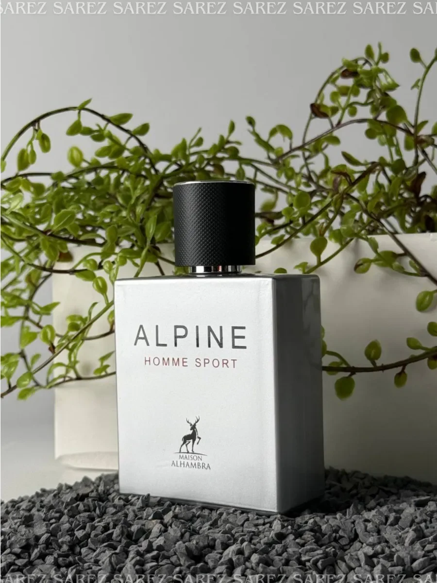 Парфюмерная вода мужская Alpine Homme Sport, 100 мл - миниатюра 13
