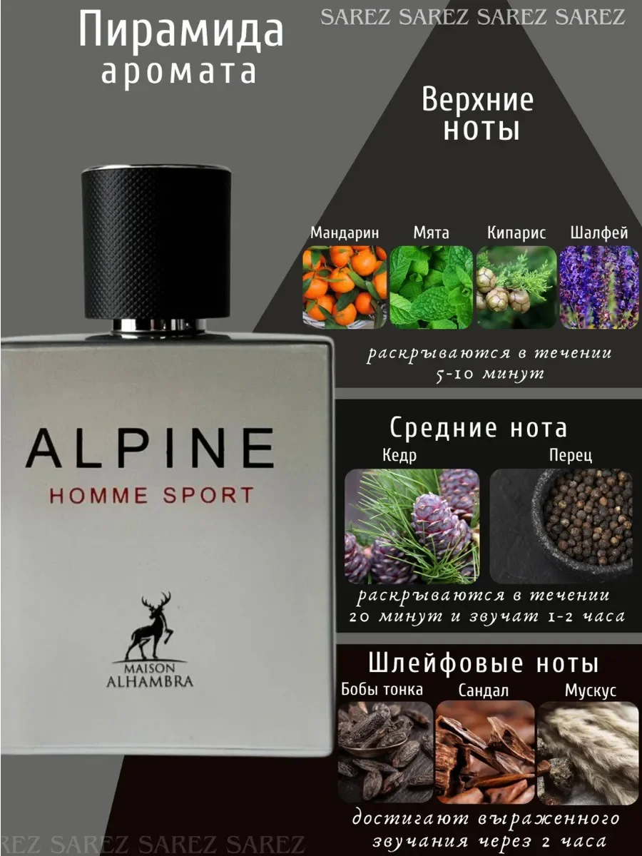 Парфюмерная вода мужская Alpine Homme Sport, 100 мл - миниатюра 7